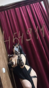 Проститутка Шымкента Анкета №454911 Фотография №3774447