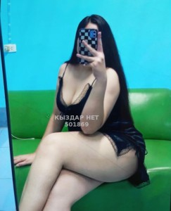 Проститутка Павлодара Девушка№501869 Алира Фотография №3879427