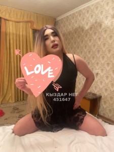 Транс Шымкента Транс№451647 Луина Активная Фотография №3984803